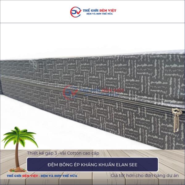 Đệm bông ép kháng khuẩn Elan See